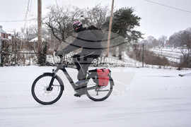 Winter Weather Missouri