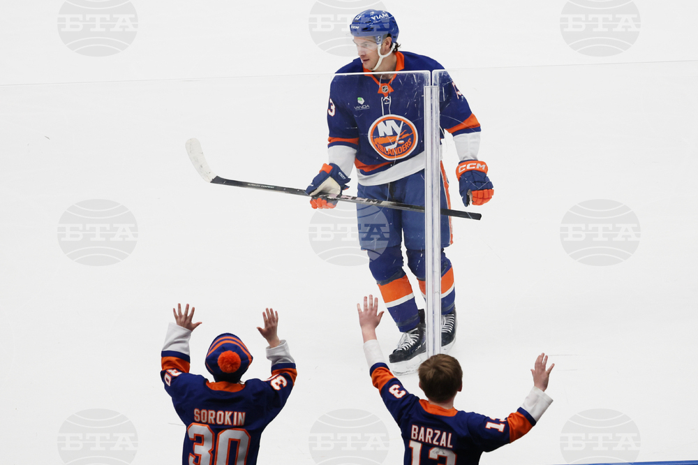 Sabres Islanders Hockey