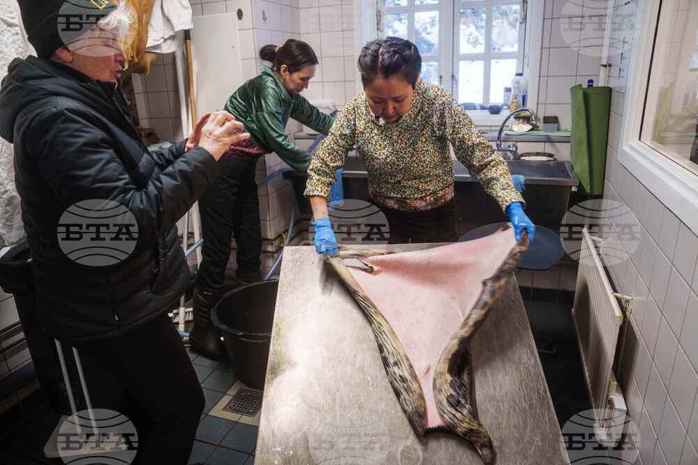 Greenland Daily Life