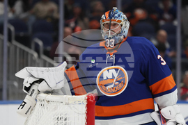 Sabres Islanders Hockey