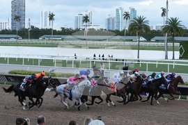 Pegasus World Cup Horse Racing