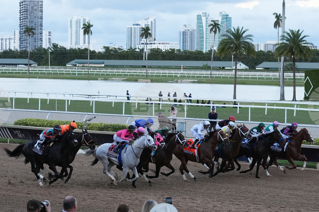 Pegasus World Cup Horse Racing