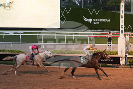 Pegasus World Cup Horse Racing