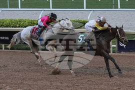 Pegasus World Cup Horse Racing