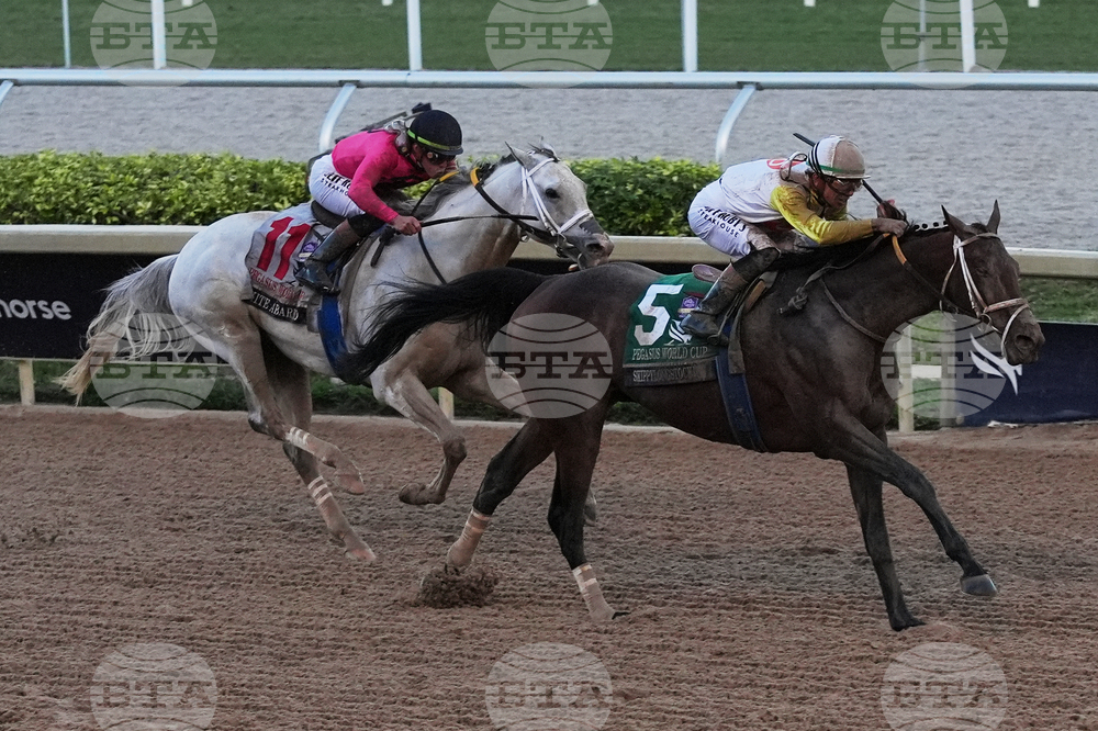 Pegasus World Cup Horse Racing