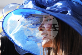 Pegasus World Cup Horse Racing