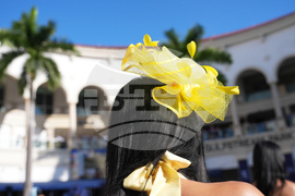 Pegasus World Cup Horse Racing