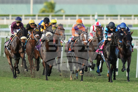 Pegasus World Cup Horse Racing