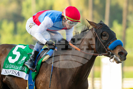 Santa Anita Horse Racing