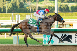 Santa Anita Horse Racing