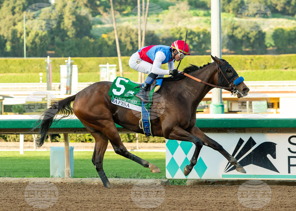 Santa Anita Horse Racing