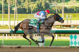 Santa Anita Horse Racing