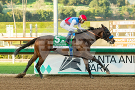 Santa Anita Horse Racing