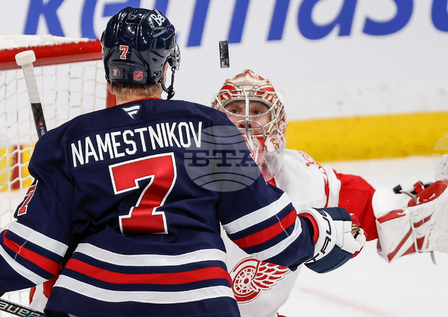 Red Wings Jets Hockey