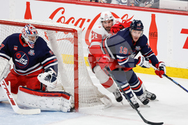 Red Wings Jets Hockey