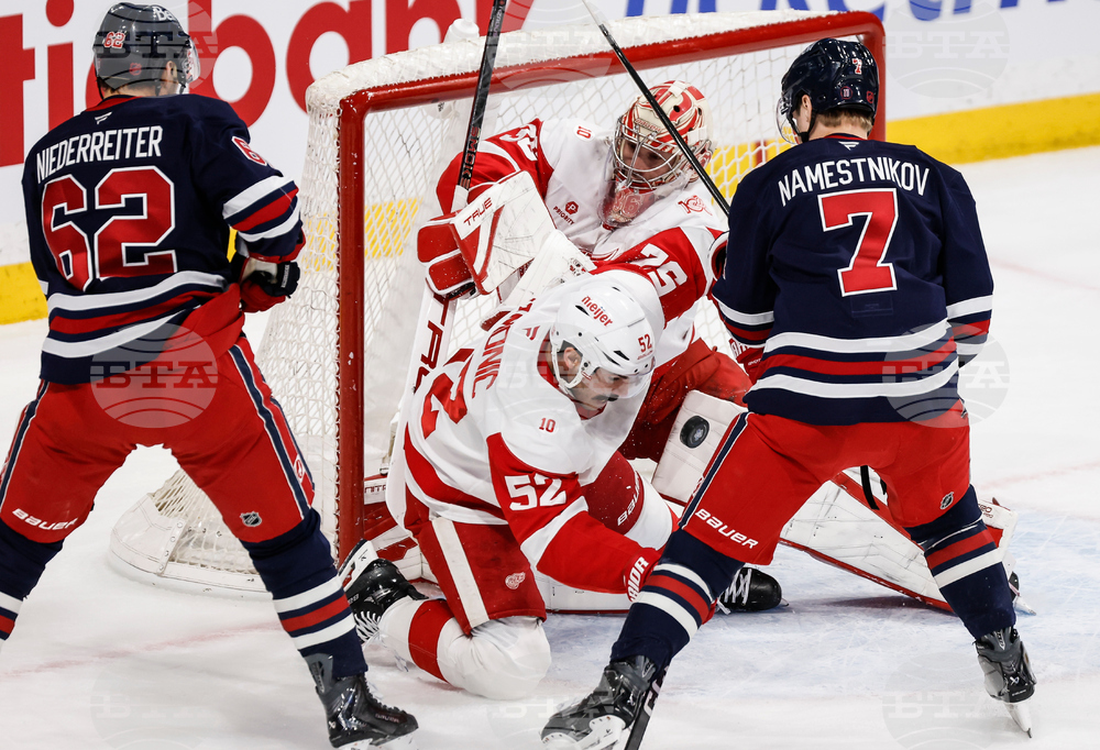 Red Wings Jets Hockey