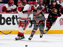 Hurricanes Senators Hockey