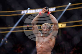 UFC 324 Mixed Martial Arts