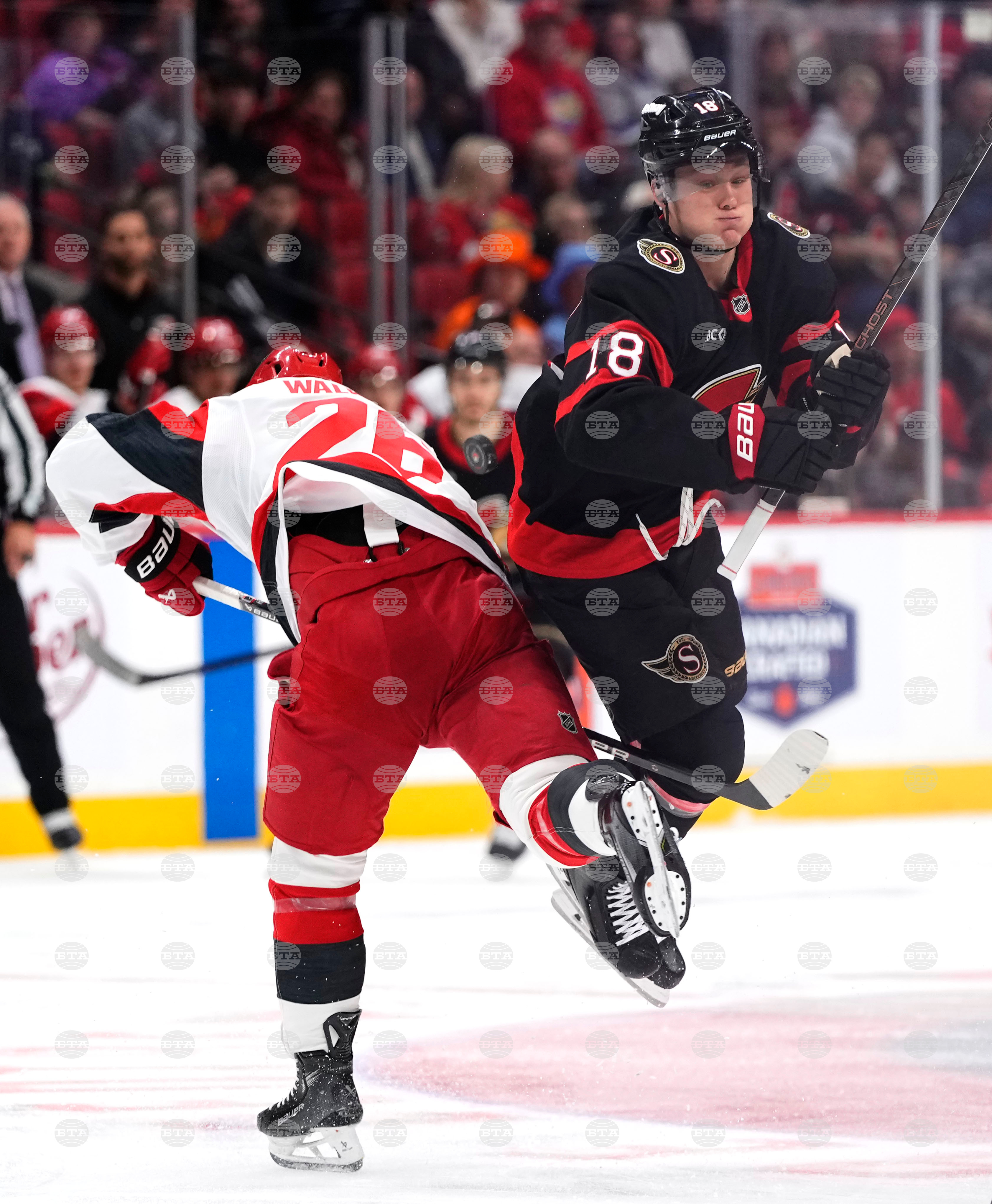 Hurricanes Senators Hockey