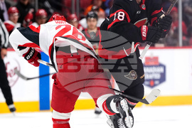 Hurricanes Senators Hockey