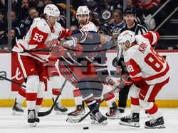 Red Wings Jets Hockey