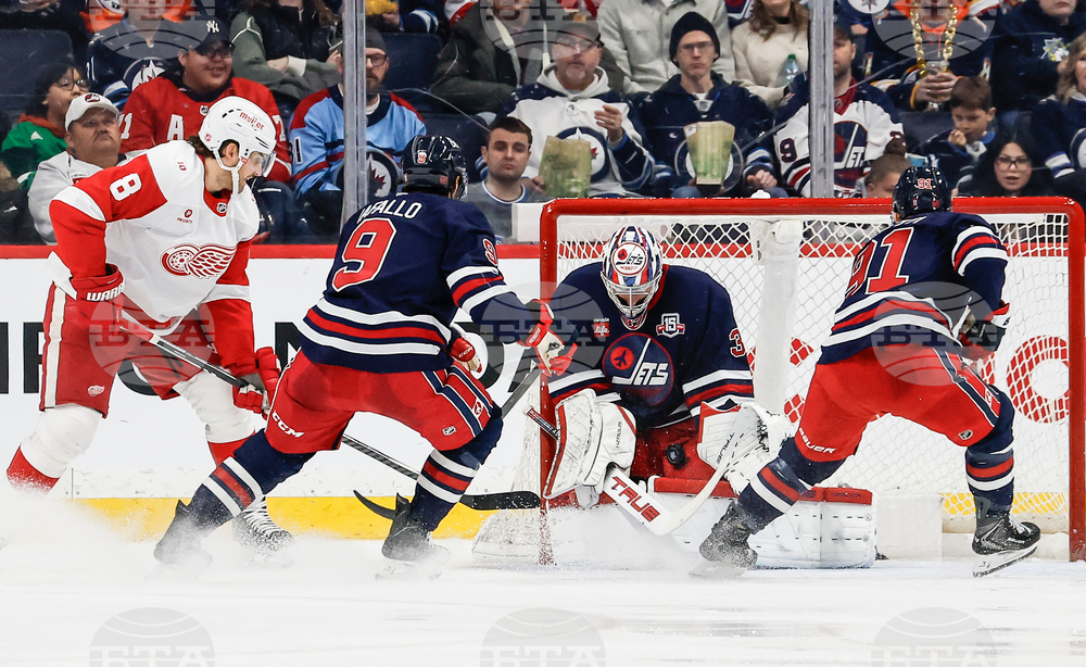 Red Wings Jets Hockey