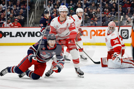 Red Wings Jets Hockey