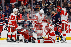 Red Wings Jets Hockey