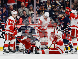 Red Wings Jets Hockey