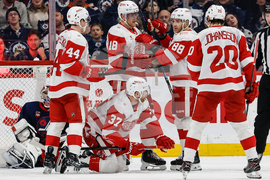 Red Wings Jets Hockey