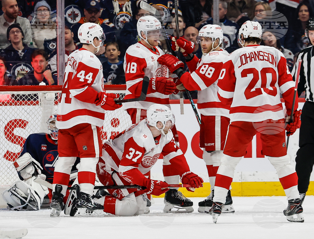 Red Wings Jets Hockey