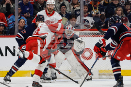 Red Wings Jets Hockey