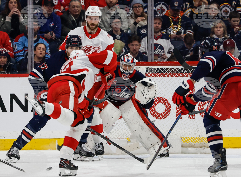 Red Wings Jets Hockey