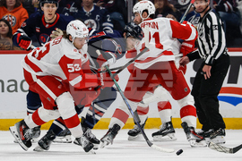 Red Wings Jets Hockey