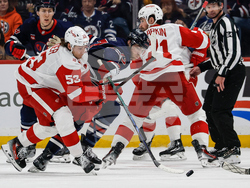Red Wings Jets Hockey