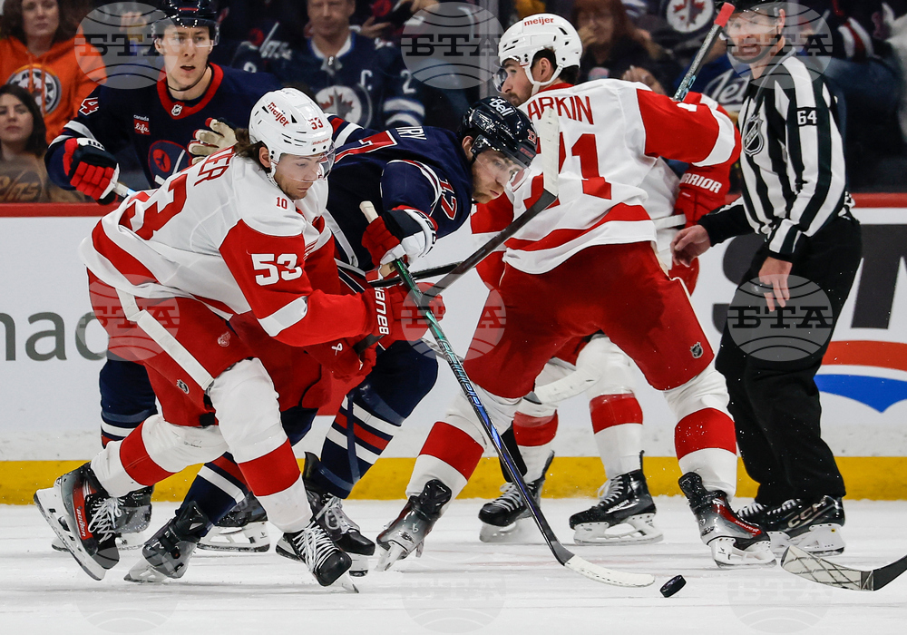 Red Wings Jets Hockey