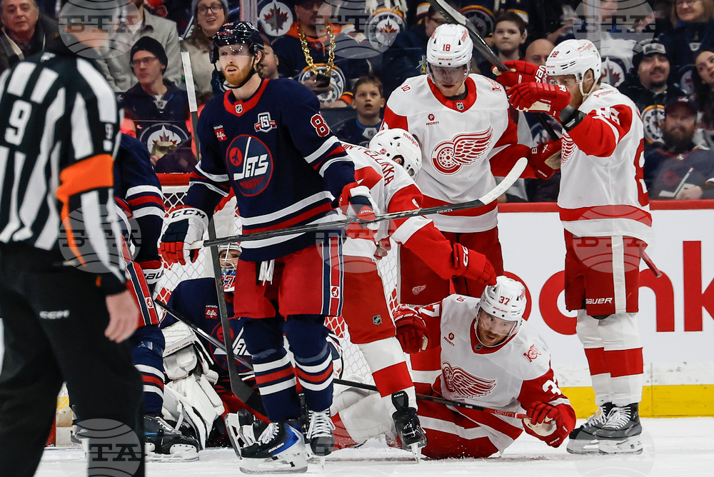 Red Wings Jets Hockey