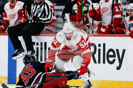 Red Wings Jets Hockey