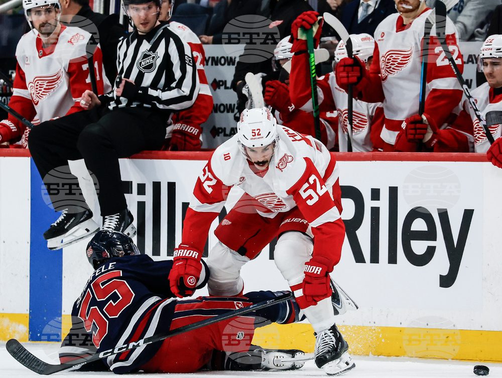 Red Wings Jets Hockey