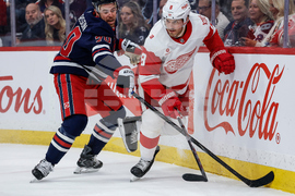 Red Wings Jets Hockey