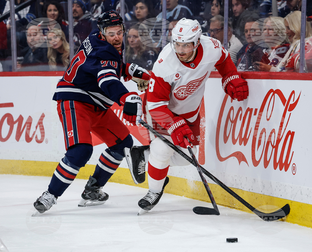 Red Wings Jets Hockey