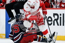 Red Wings Jets Hockey