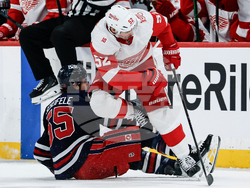 Red Wings Jets Hockey