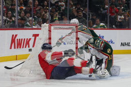 Wild Panthers Hockey