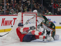 Wild Panthers Hockey