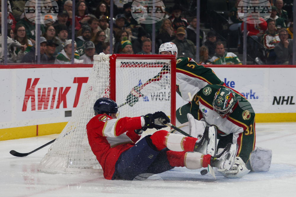 Wild Panthers Hockey