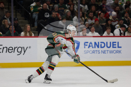 Wild Panthers Hockey