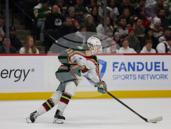 Wild Panthers Hockey