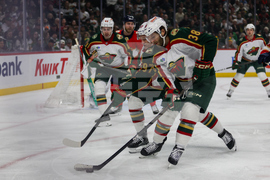 Wild Panthers Hockey