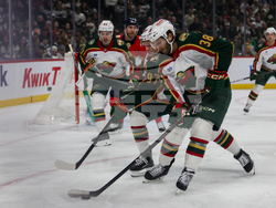 Wild Panthers Hockey